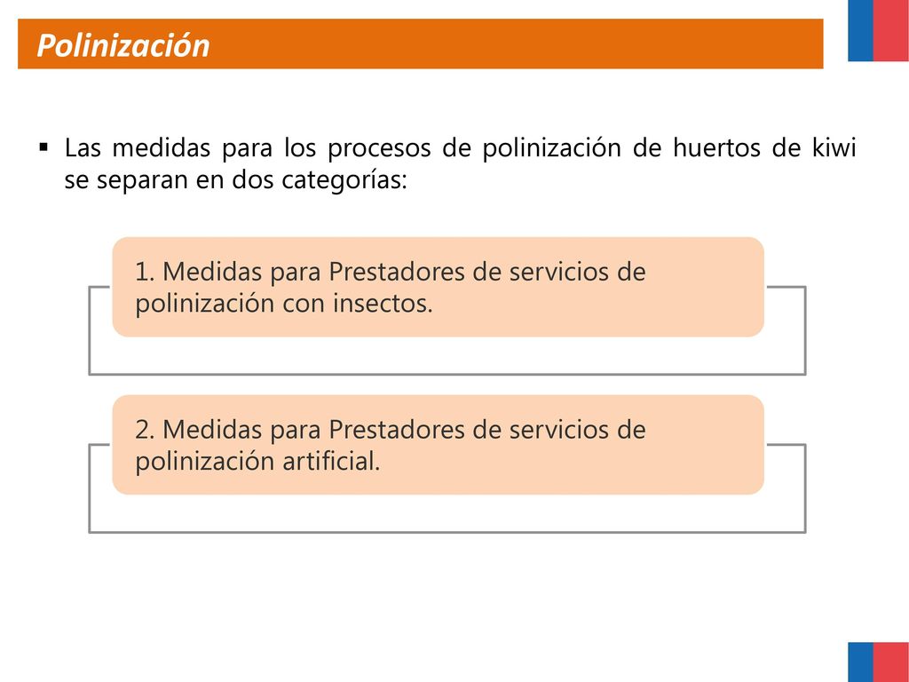 Polinización Las medidas para los procesos de polinización de huertos de kiwi se separan en dos categorías: