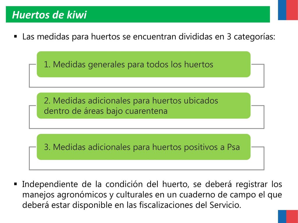Huertos de kiwi 1. Medidas generales para todos los huertos