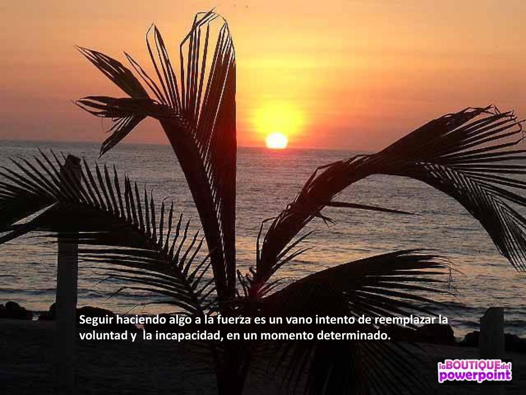 Seguir haciendo algo a la fuerza es un vano intento de reemplazar la voluntad y la incapacidad, en un momento determinado.