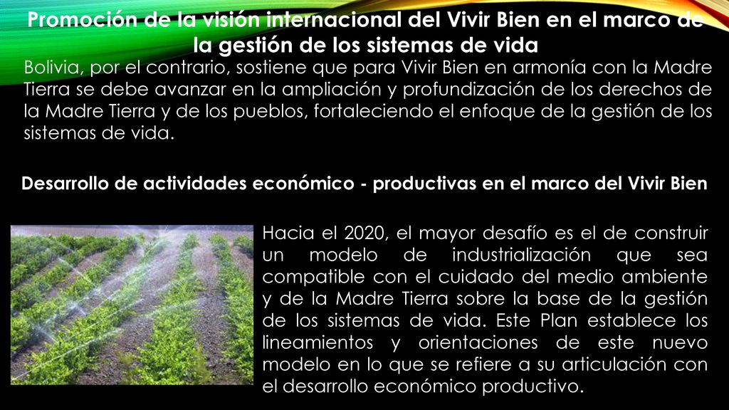 Promoción de la visión internacional del Vivir Bien en el marco de la gestión de los sistemas de vida