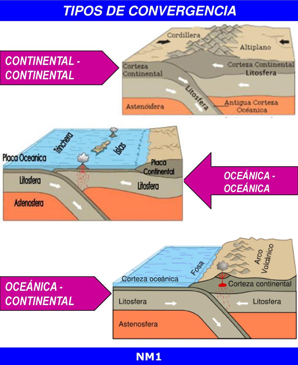 TIPOS DE CONVERGENCIA CONTINENTAL -CONTINENTAL OCEÁNICA -CONTINENTAL