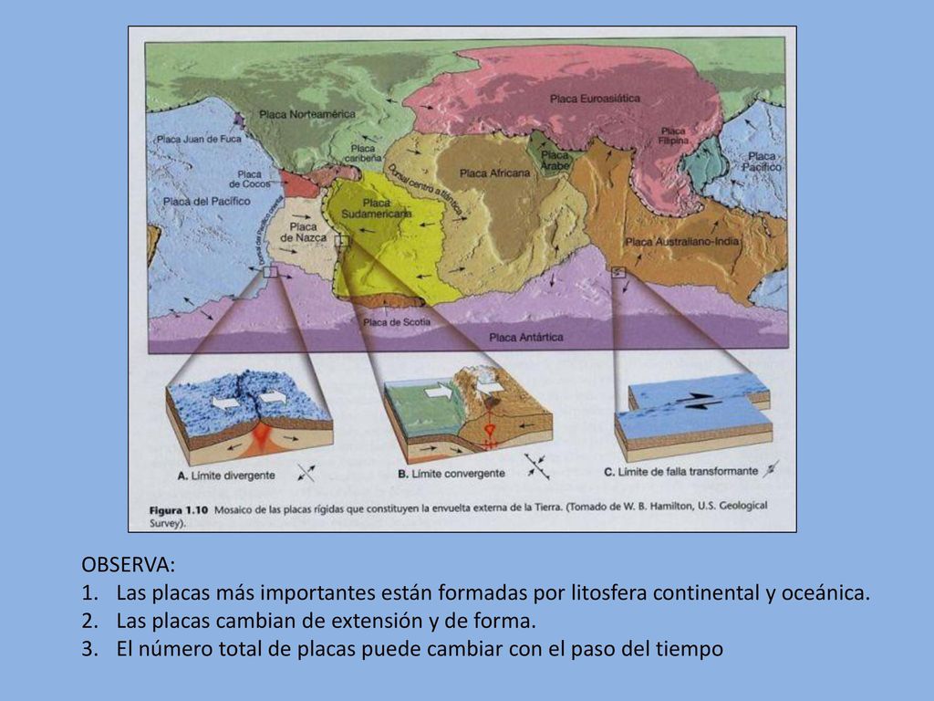 OBSERVA: Las placas más importantes están formadas por litosfera continental y oceánica. Las placas cambian de extensión y de forma.
