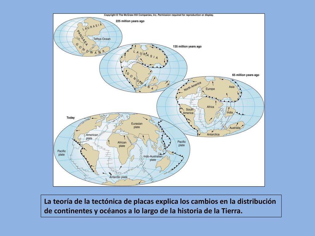 La teoría de la tectónica de placas explica los cambios en la distribución