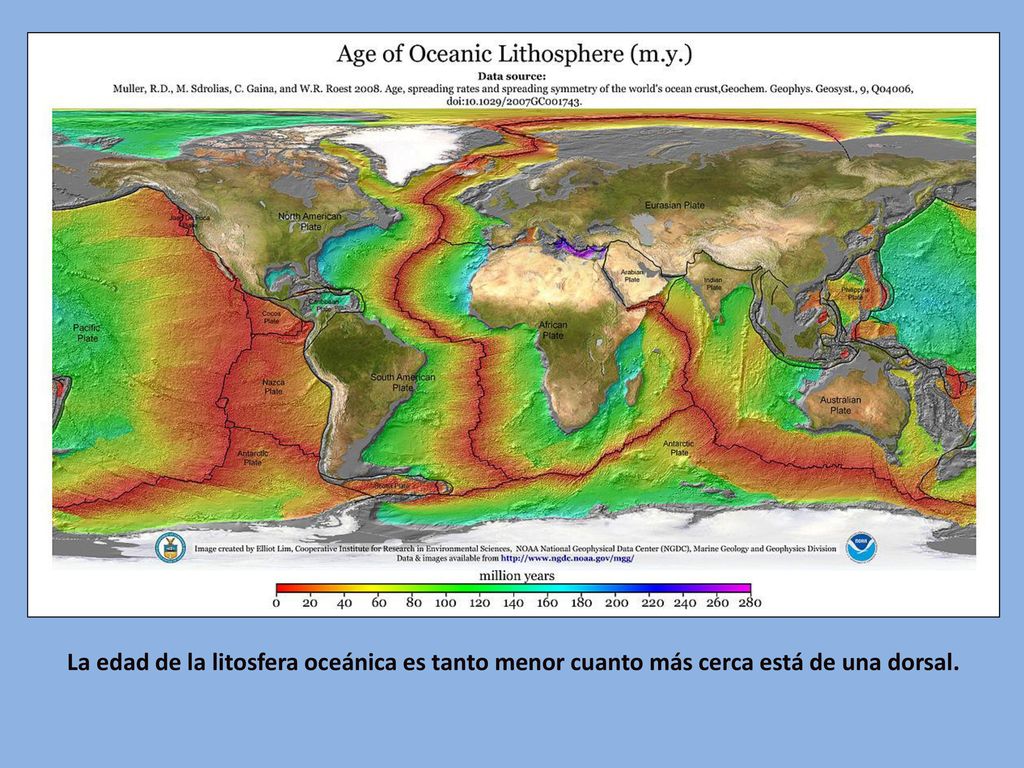 La edad de la litosfera oceánica es tanto menor cuanto más cerca está de una dorsal.