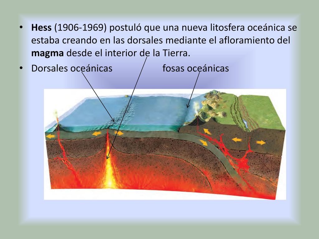 Hess ( ) postuló que una nueva litosfera oceánica se estaba creando en las dorsales mediante el afloramiento del magma desde el interior de la Tierra.