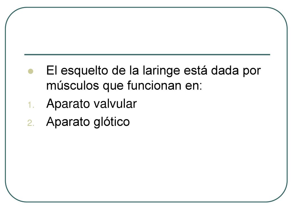 El esquelto de la laringe está dada por músculos que funcionan en: