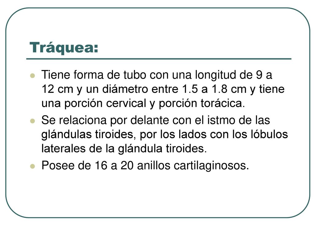Tráquea: Tiene forma de tubo con una longitud de 9 a 12 cm y un diámetro entre 1.5 a 1.8 cm y tiene una porción cervical y porción torácica.