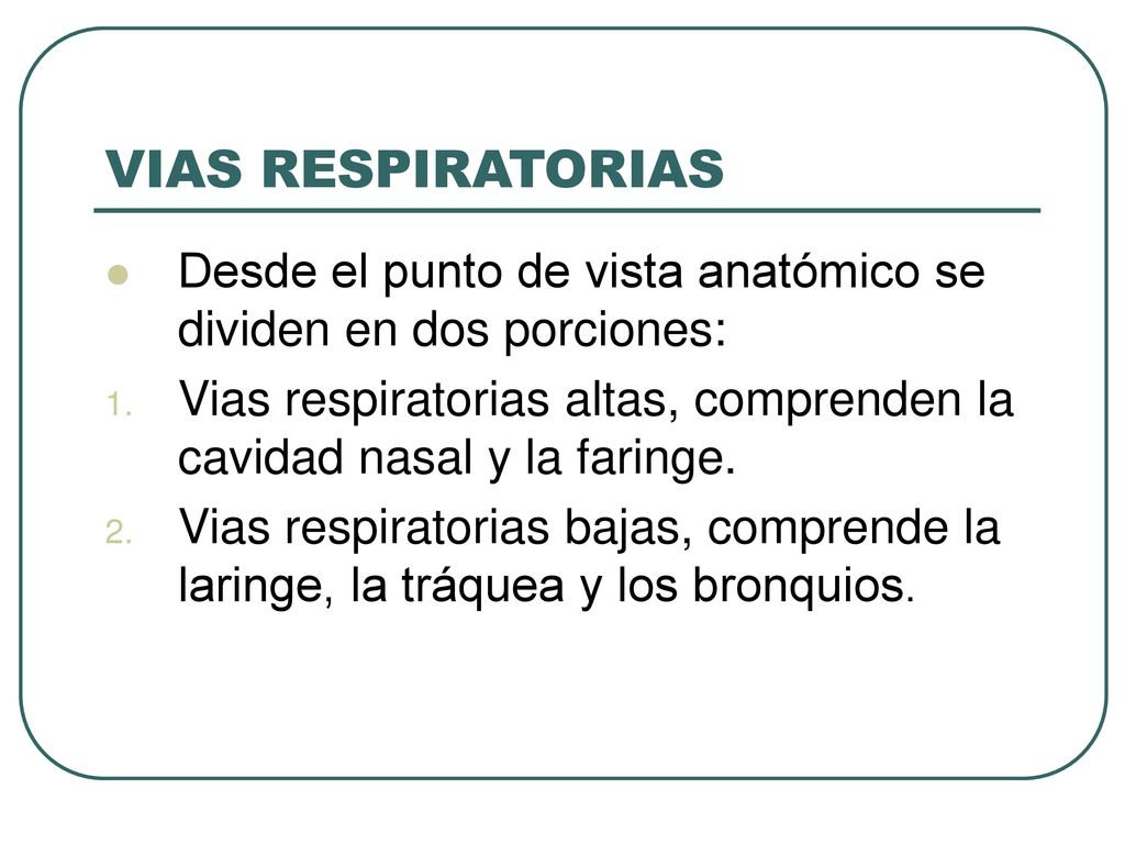 VIAS RESPIRATORIAS Desde el punto de vista anatómico se dividen en dos porciones: