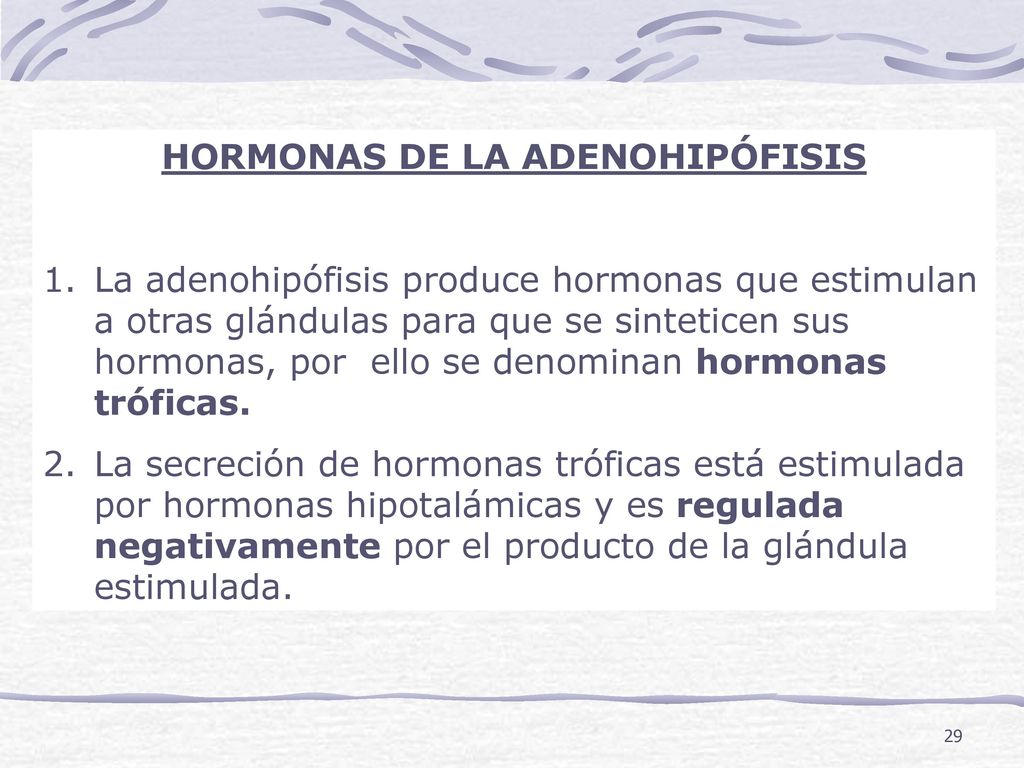 HORMONAS DE LA ADENOHIPÓFISIS