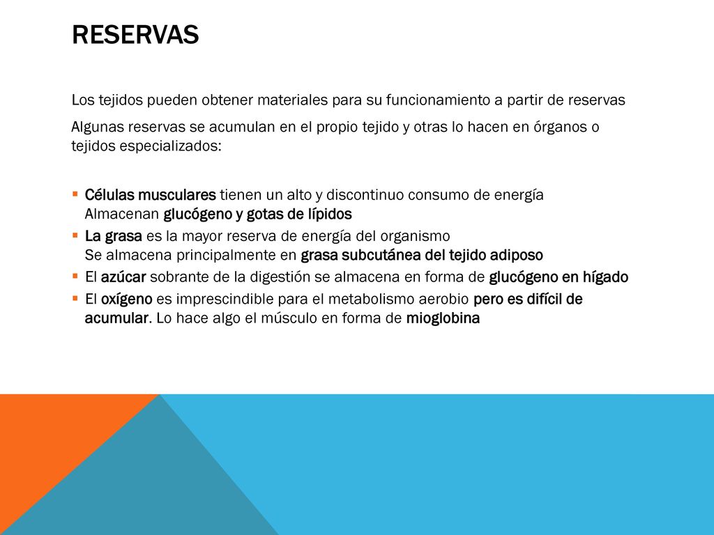 Reservas Los tejidos pueden obtener materiales para su funcionamiento a partir de reservas.