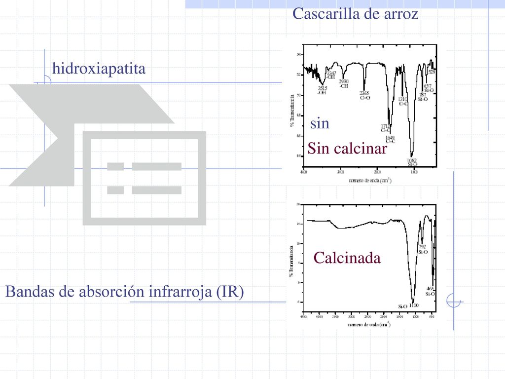 Cascarilla de arroz hidroxiapatita sin Sin calcinar Calcinada Bandas de absorción infrarroja (IR)