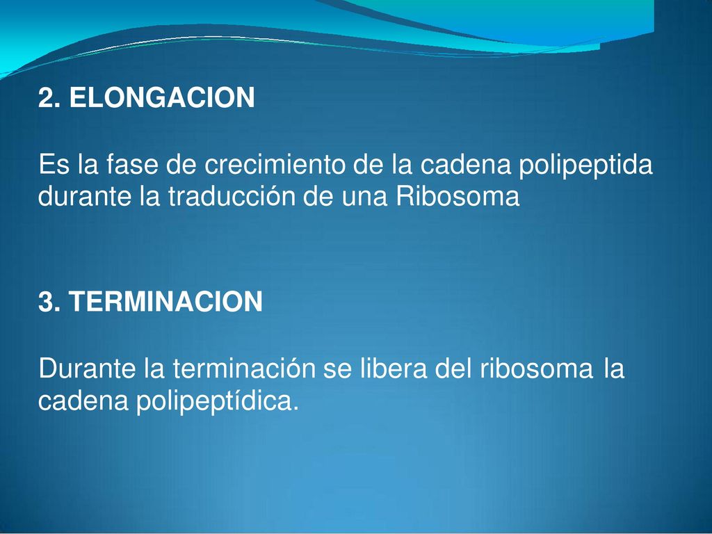 2. ELONGACION Es la fase de crecimiento de la cadena polipeptida. durante la traducción de una Ribosoma.