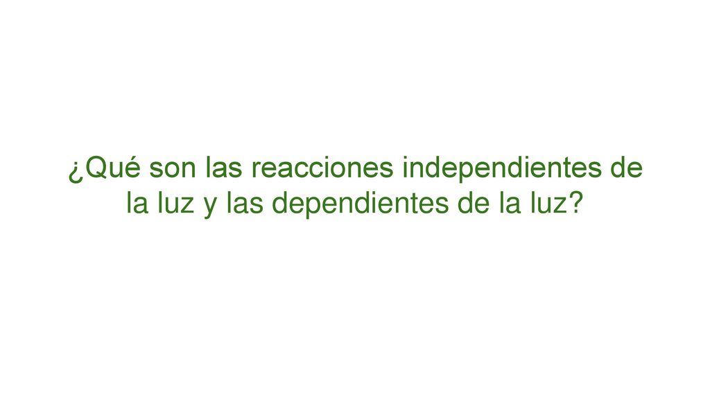 ¿Qué son las reacciones independientes de la luz y las dependientes de la luz