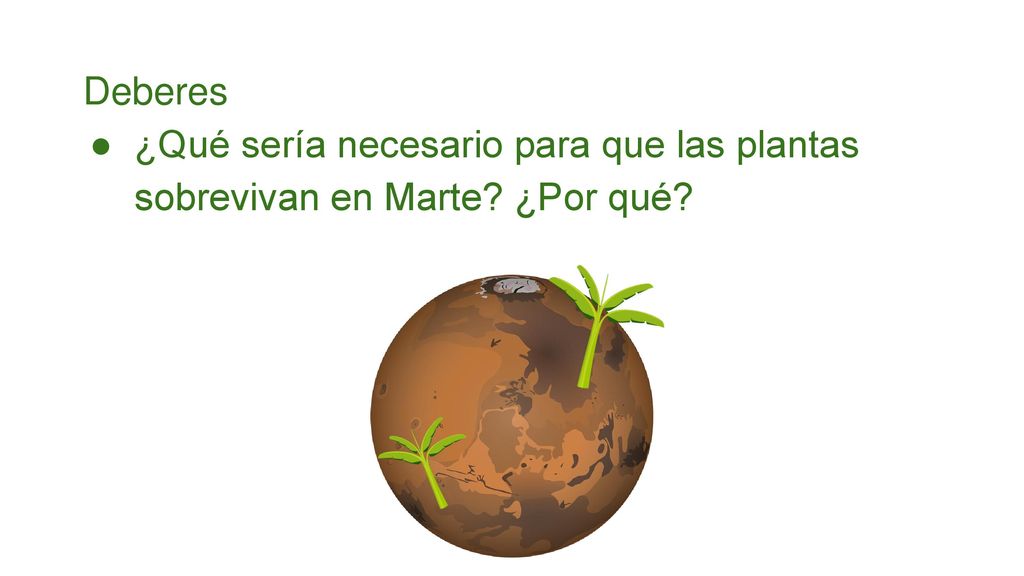 Deberes ¿Qué sería necesario para que las plantas sobrevivan en Marte ¿Por qué