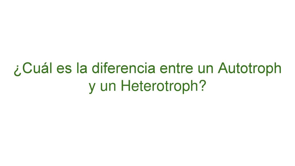 ¿Cuál es la diferencia entre un Autotroph y un Heterotroph