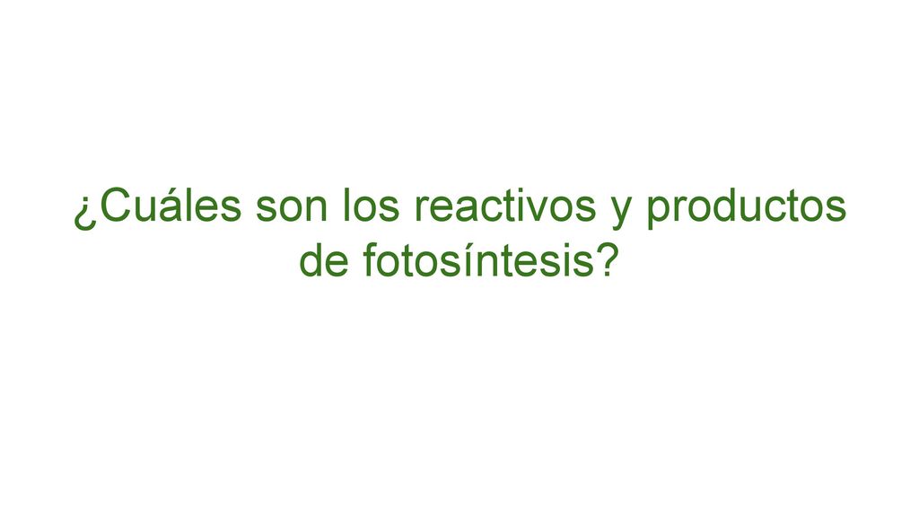 ¿Cuáles son los reactivos y productos de fotosíntesis