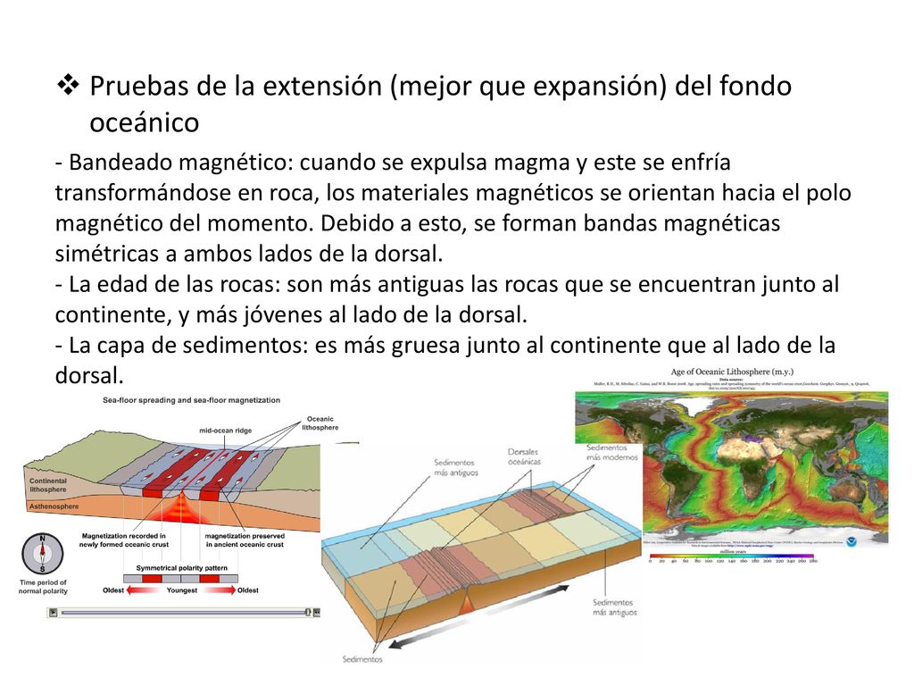 Pruebas de la extensión (mejor que expansión) del fondo oceánico