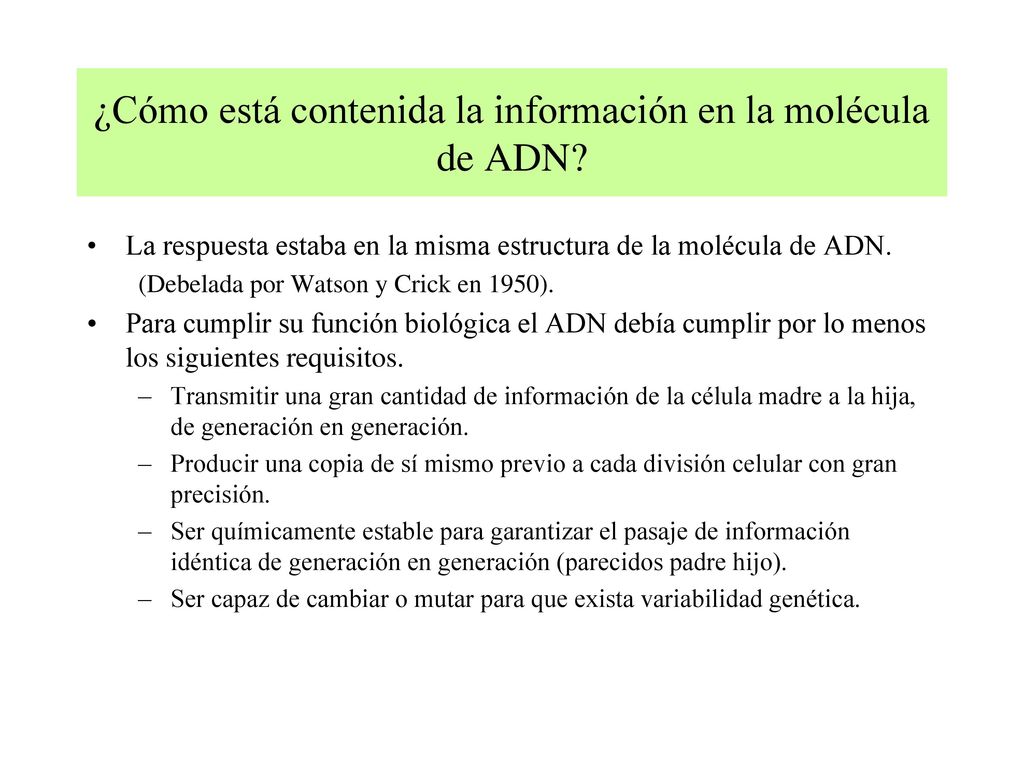 ¿Cómo está contenida la información en la molécula de ADN