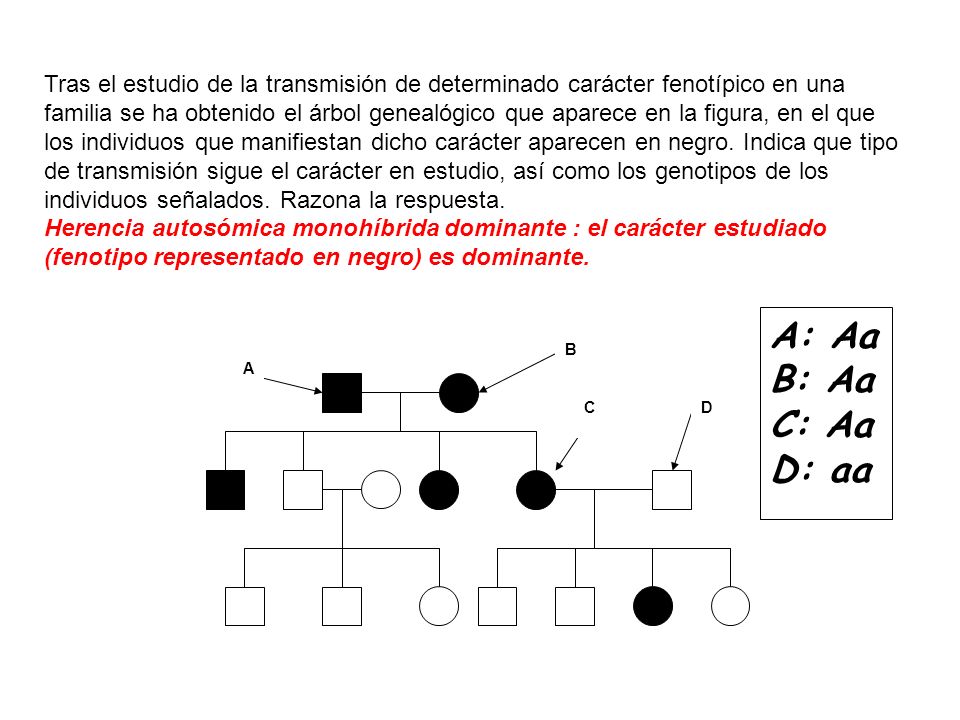 Tras el estudio de la transmisión de determinado carácter fenotípico en una familia se ha obtenido el árbol genealógico que aparece en la figura, en el que los individuos que manifiestan dicho carácter aparecen en negro. Indica que tipo de transmisión sigue el carácter en estudio, así como los genotipos de los individuos señalados. Razona la respuesta.