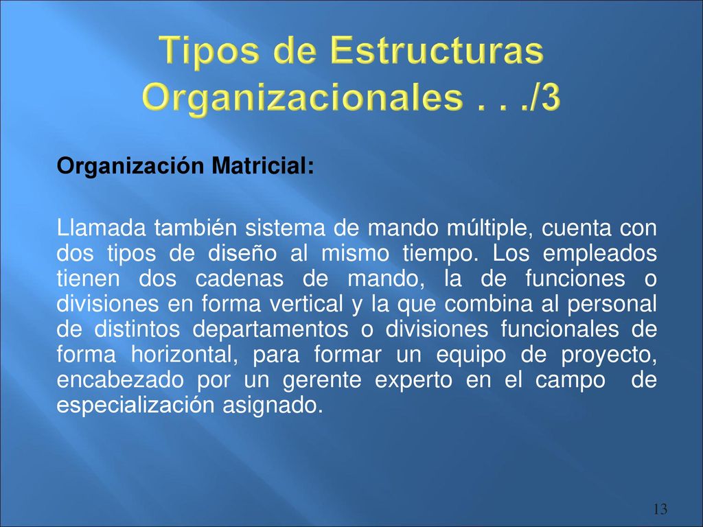 Tipos de Estructuras Organizacionales . . ./3