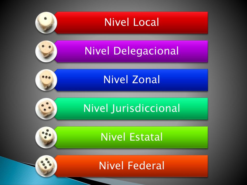 Nivel Local Nivel Delegacional Nivel Zonal Nivel Jurisdiccional Nivel Estatal Nivel Federal