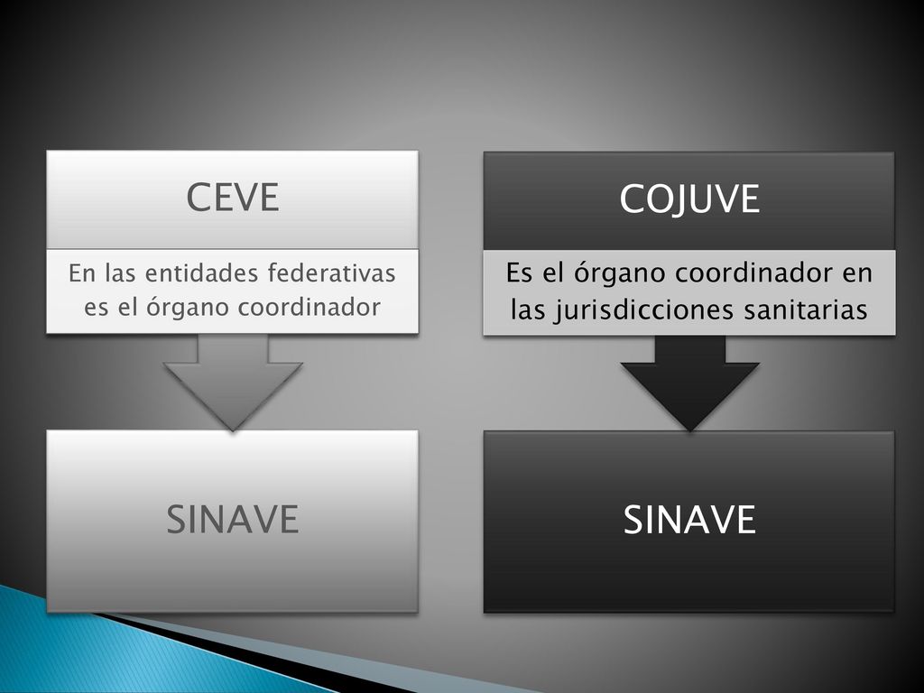 En las entidades federativas es el órgano coordinador SINAVE COJUVE