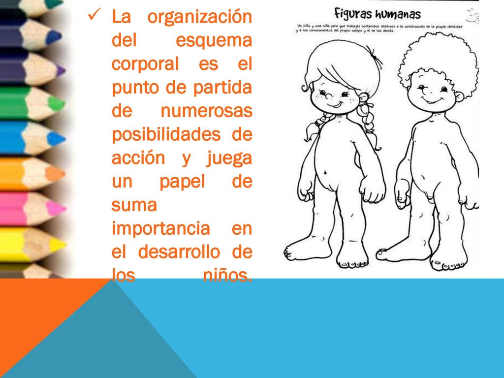 La organización del esquema corporal es el punto de partida de numerosas posibilidades de acción y juega un papel de suma importancia en el desarrollo de los niños.