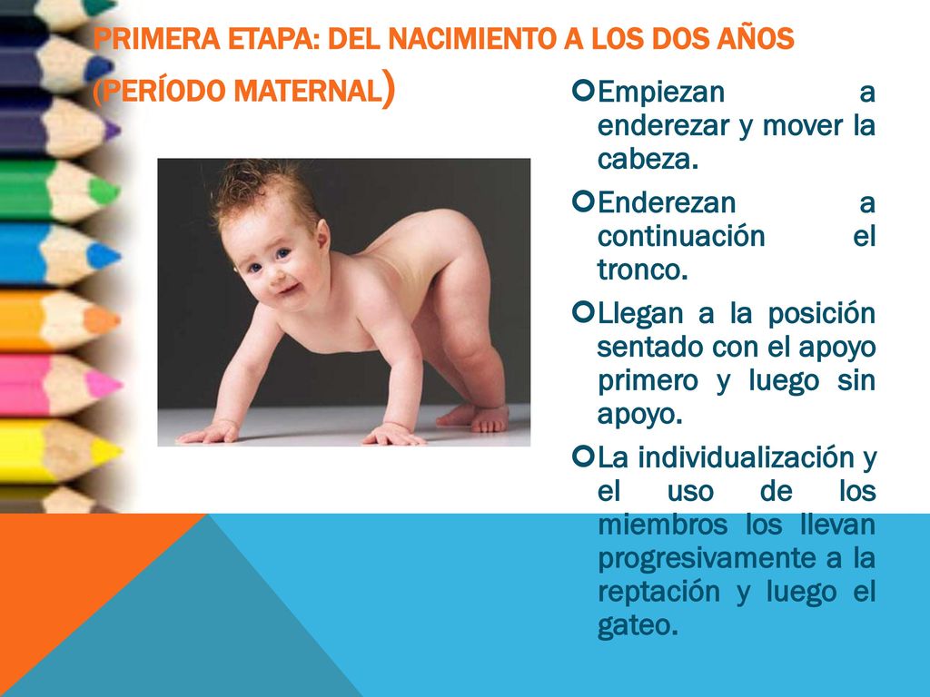 Primera etapa: Del nacimiento a los dos años (Período maternal)