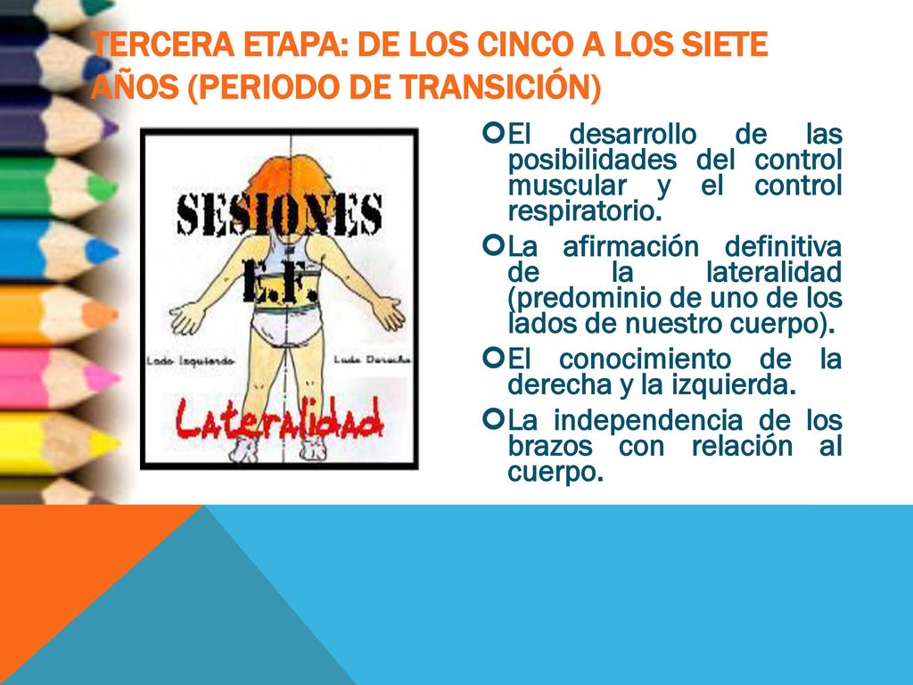 Tercera etapa: De los cinco a los siete años (Periodo de transición)