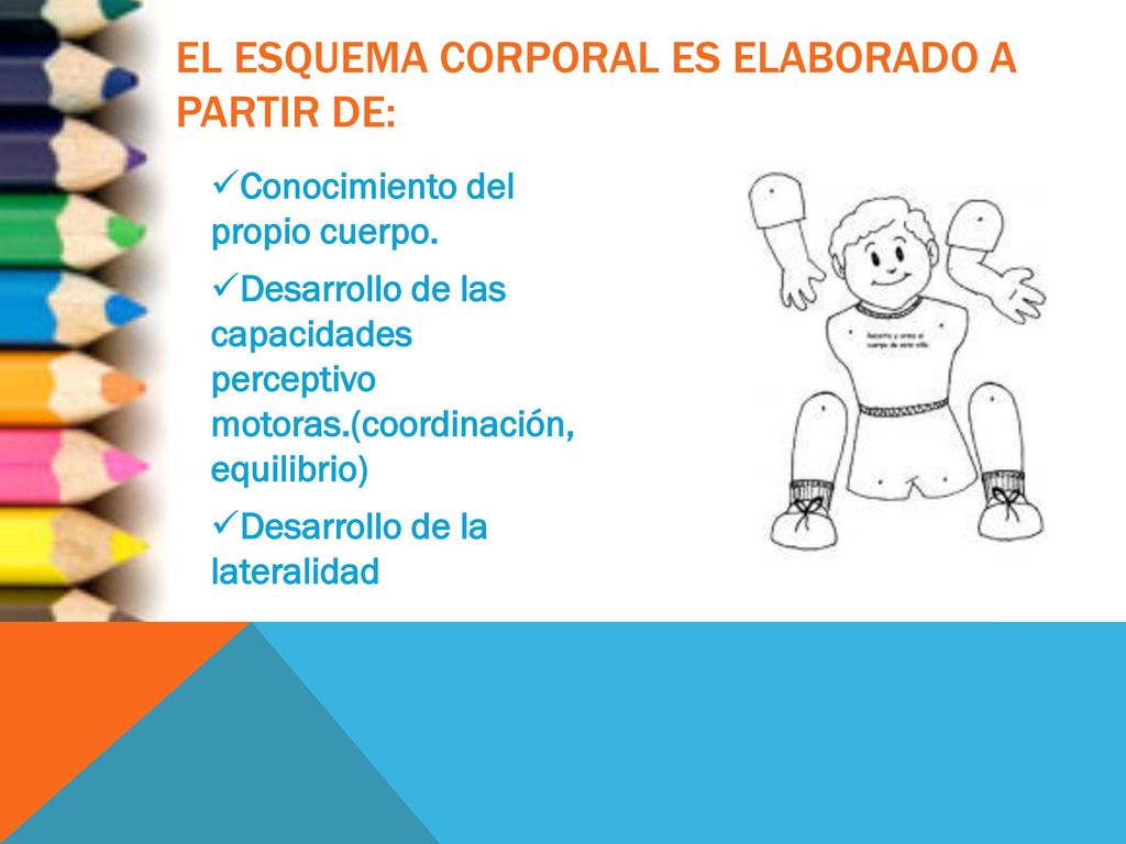 El esquema corporal es elaborado a partir de: