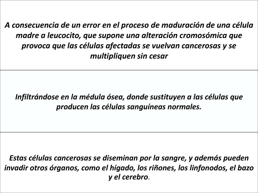 A consecuencia de un error en el proceso de maduración de una célula madre a leucocito, que supone una alteración cromosómica que provoca que las células afectadas se vuelvan cancerosas y se multipliquen sin cesar
