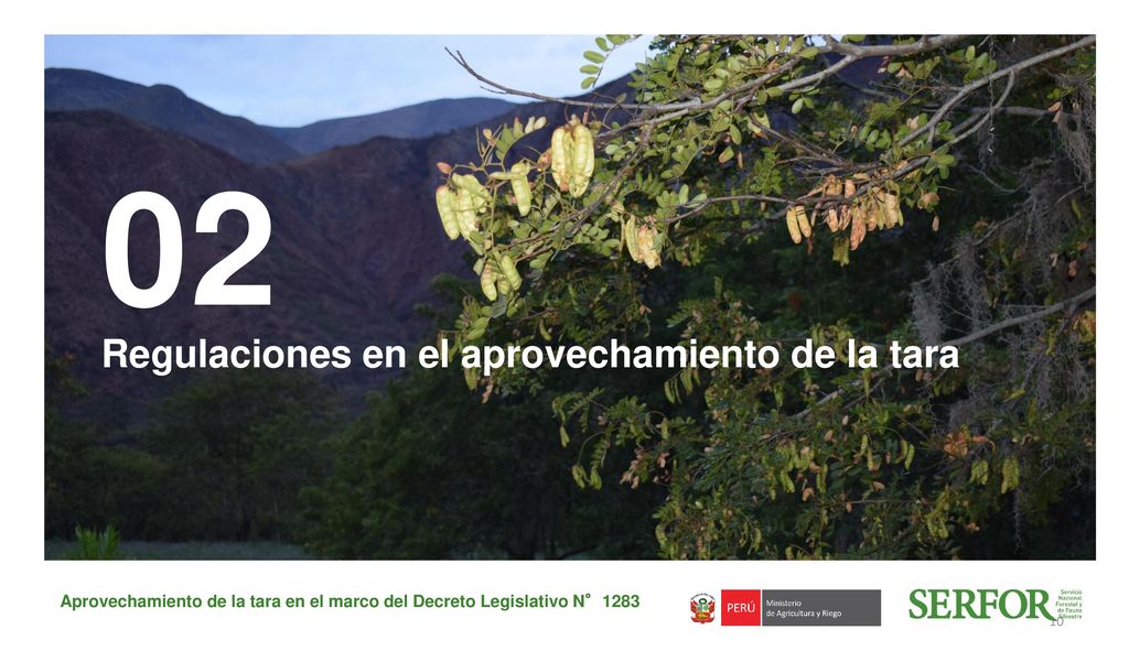 Aprovechamiento de la tara en el marco del Decreto Legislativo N°1283