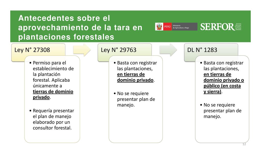 Antecedentes sobre el aprovechamiento de la tara en plantaciones forestales