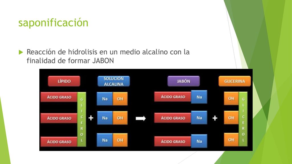 saponificación Reacción de hidrolisis en un medio alcalino con la finalidad de formar JABON