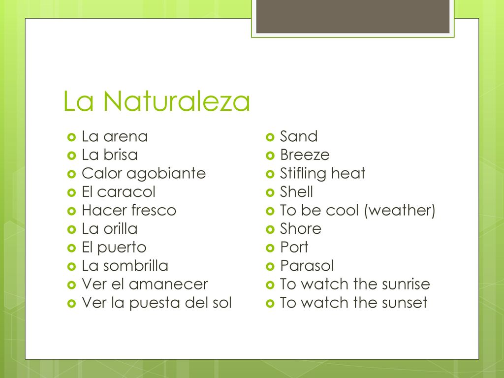 La Naturaleza La arena La brisa Calor agobiante El caracol