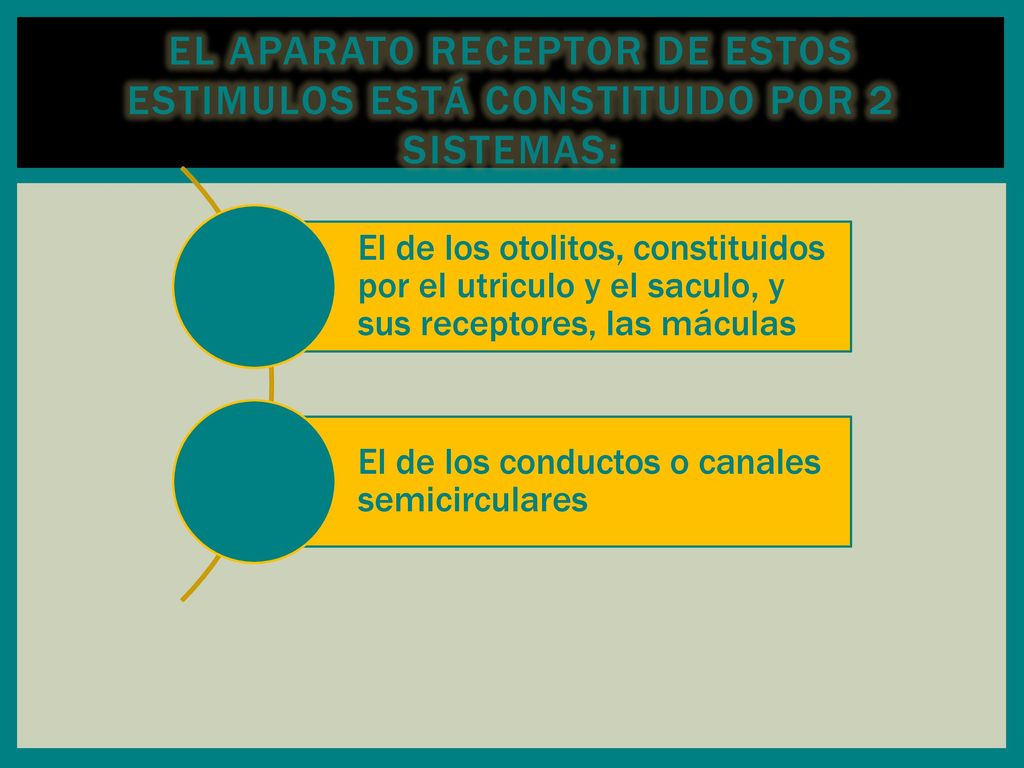 El aparato receptor de estos estimulos está constituido por 2 sistemas: