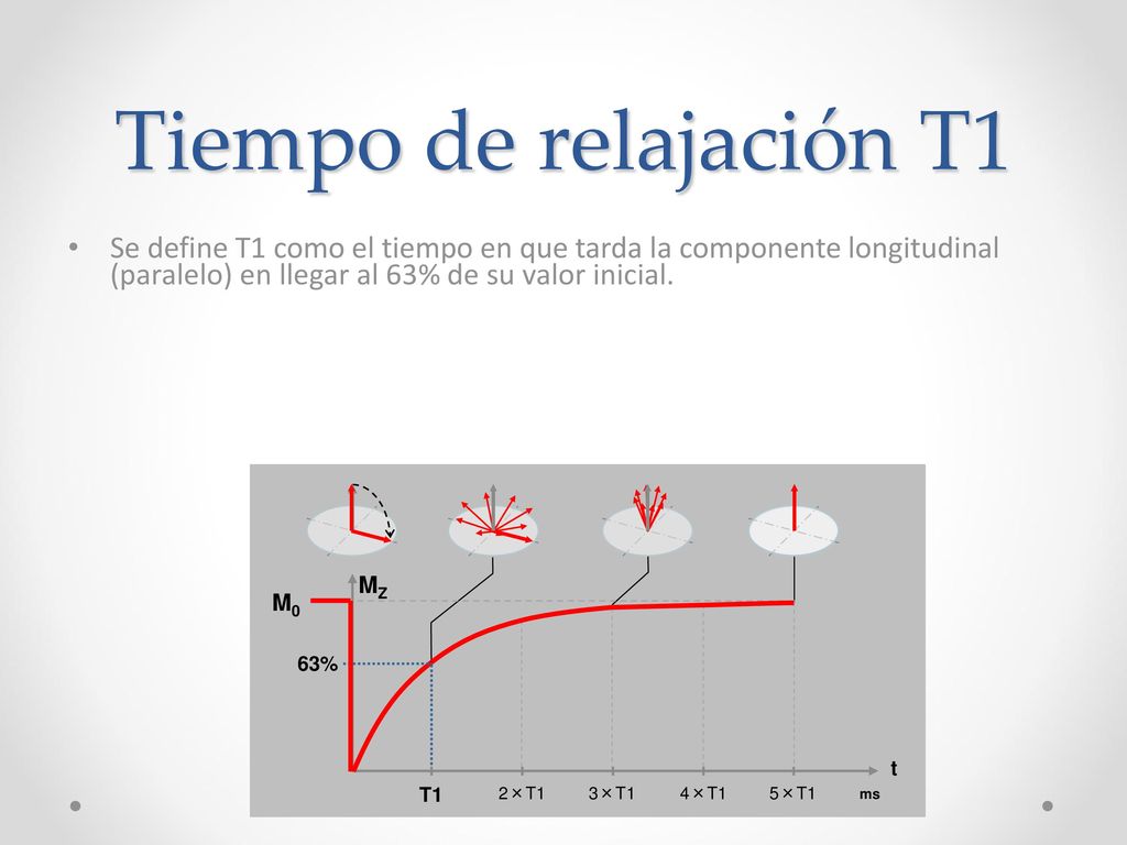 Tiempo de relajación T1 Se define T1 como el tiempo en que tarda la componente longitudinal (paralelo) en llegar al 63% de su valor inicial.