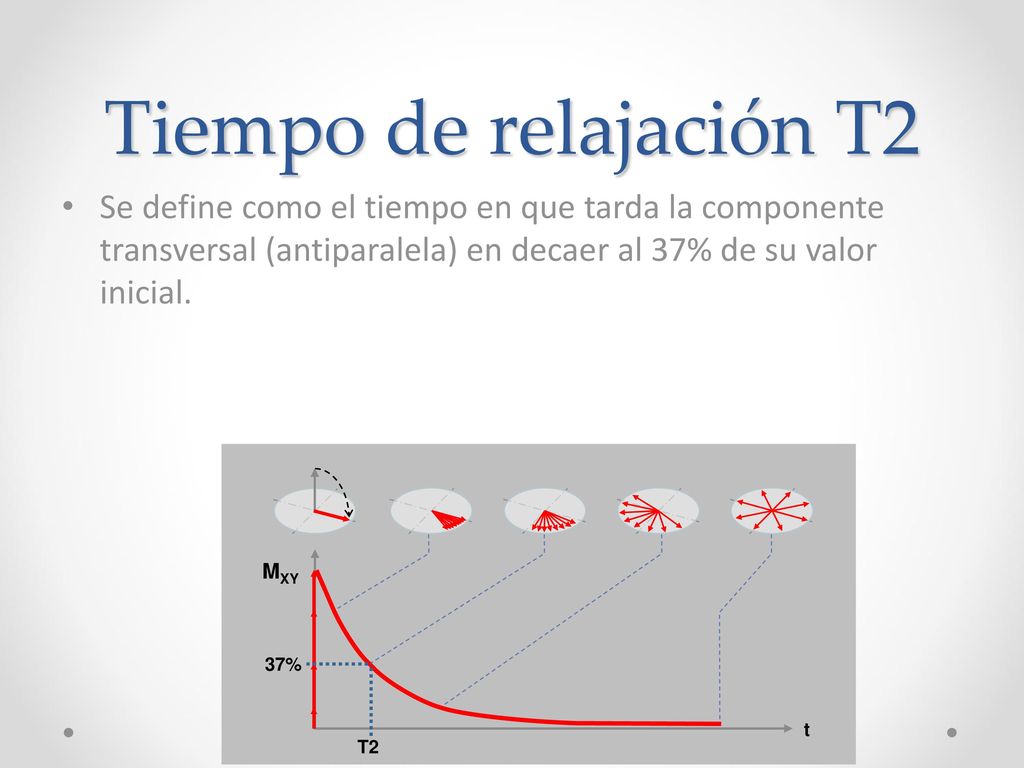 Tiempo de relajación T2 Se define como el tiempo en que tarda la componente transversal (antiparalela) en decaer al 37% de su valor inicial.
