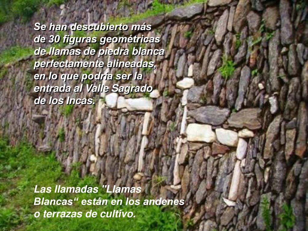 Se han descubierto más de 30 figuras geométricas. de llamas de piedra blanca. perfectamente alineadas,