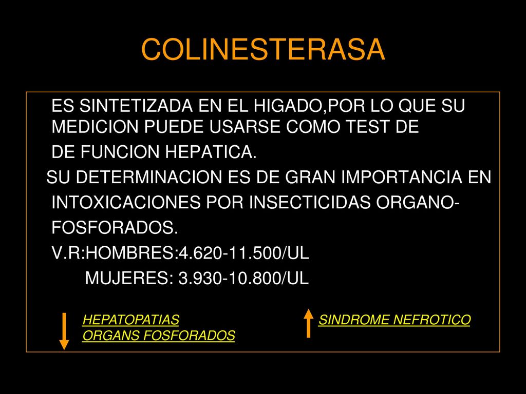COLINESTERASA ES SINTETIZADA EN EL HIGADO,POR LO QUE SU MEDICION PUEDE USARSE COMO TEST DE. DE FUNCION HEPATICA.