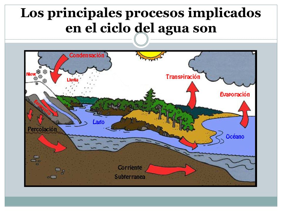 Los principales procesos implicados en el ciclo del agua son