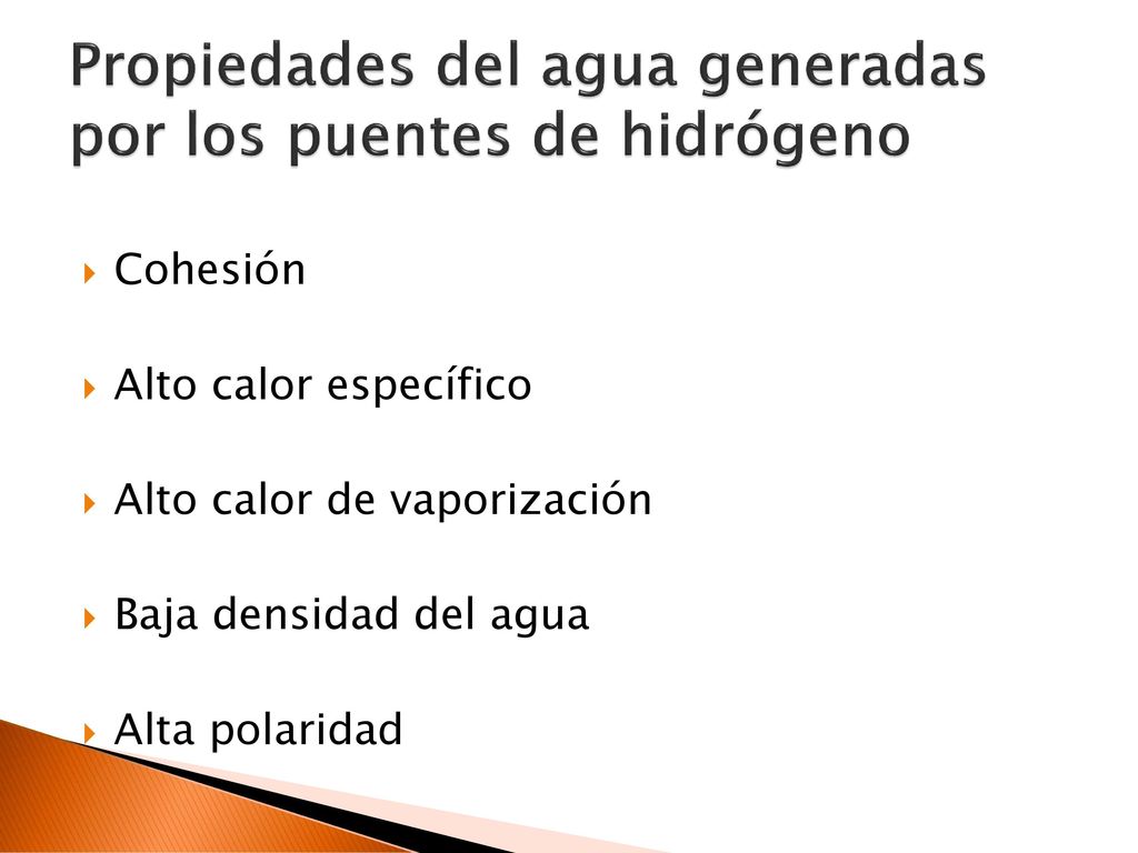 Propiedades del agua generadas por los puentes de hidrógeno