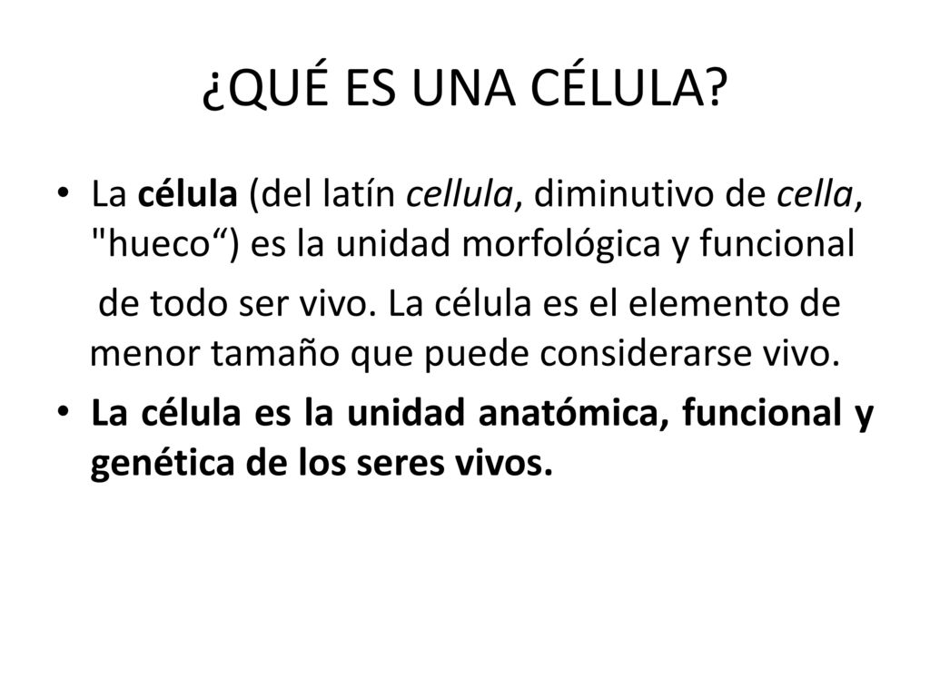 ¿QUÉ ES UNA CÉLULA La célula (del latín cellula, diminutivo de cella, hueco ) es la unidad morfológica y funcional.