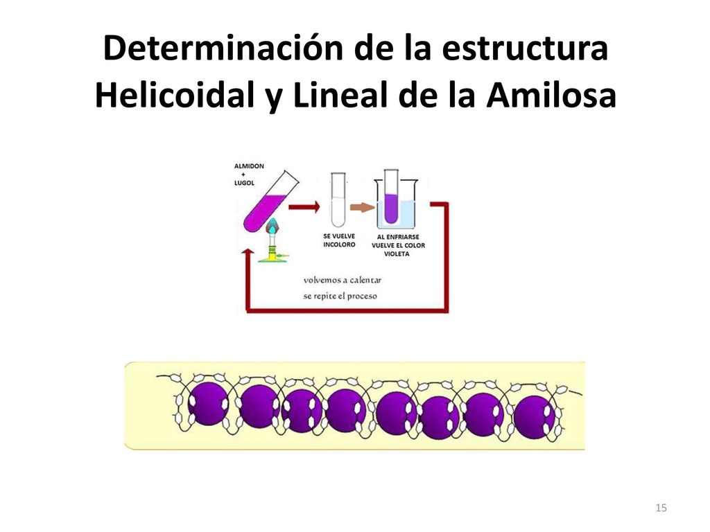 Determinación de la estructura Helicoidal y Lineal de la Amilosa