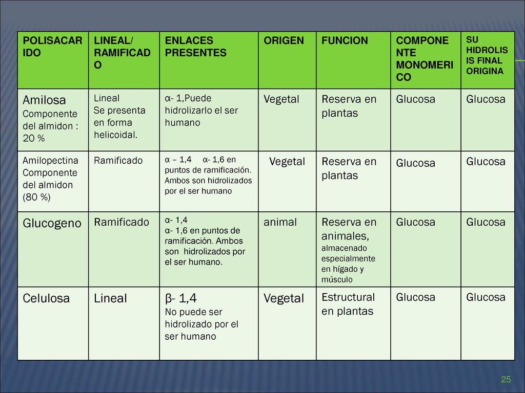 Amilosa Glucogeno Celulosa β- 1,4 Vegetal Reserva en plantas Glucosa