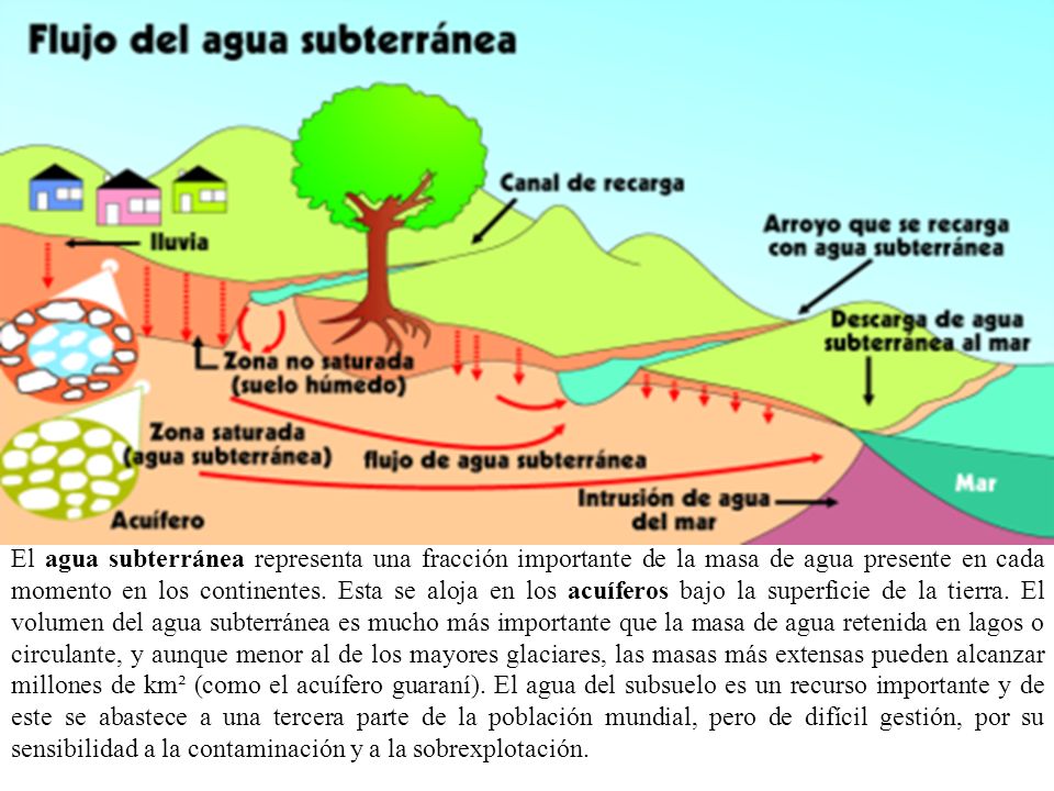 El agua subterránea representa una fracción importante de la masa de agua presente en cada momento en los continentes.