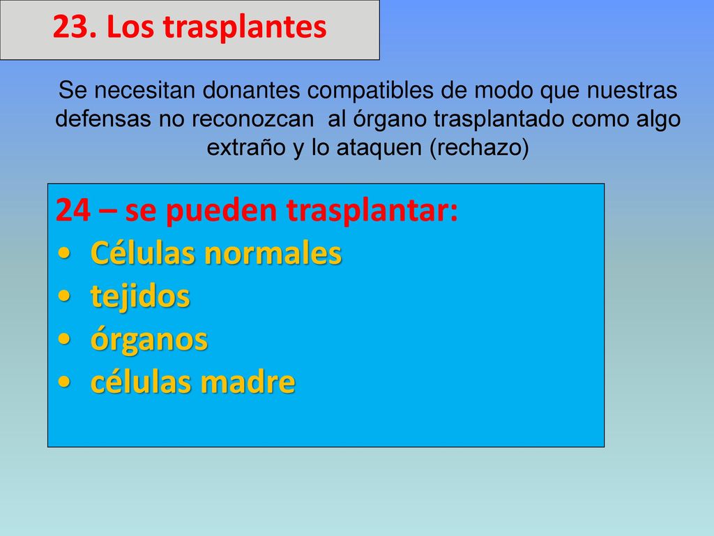24 – se pueden trasplantar: Células normales tejidos órganos