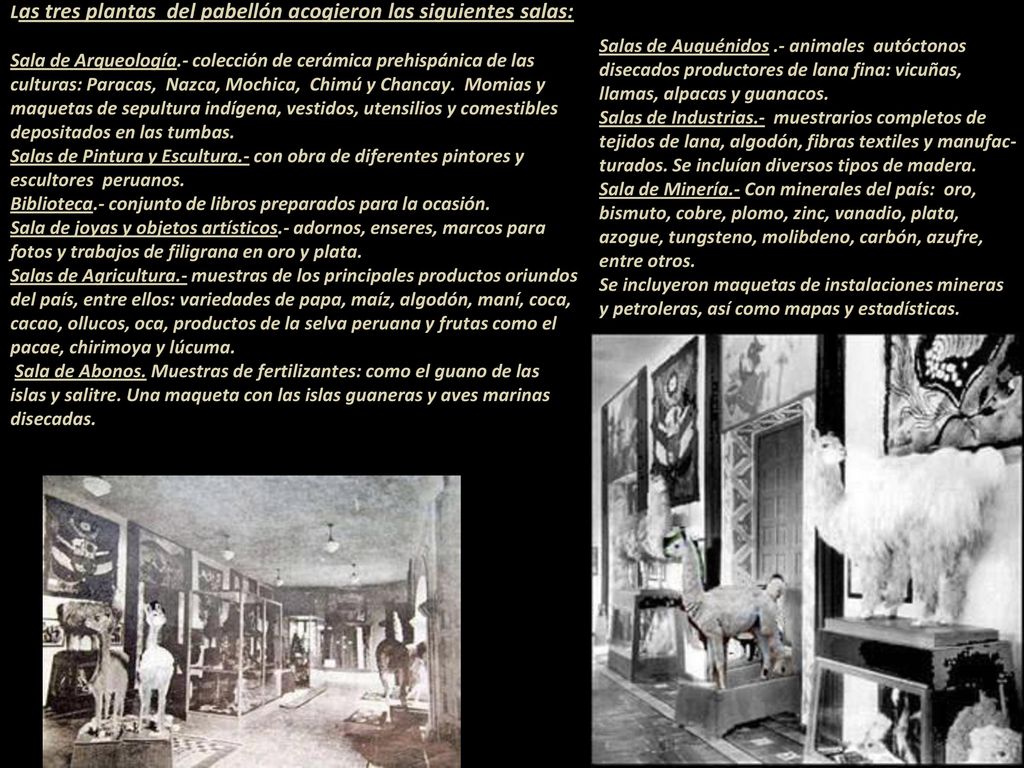 Las tres plantas del pabellón acogieron las siguientes salas: Sala de Arqueología.- colección de cerámica prehispánica de las culturas: Paracas, Nazca, Mochica, Chimú y Chancay. Momias y maquetas de sepultura indígena, vestidos, utensilios y comestibles depositados en las tumbas. Salas de Pintura y Escultura.- con obra de diferentes pintores y escultores peruanos. Biblioteca.- conjunto de libros preparados para la ocasión. Sala de joyas y objetos artísticos.- adornos, enseres, marcos para fotos y trabajos de filigrana en oro y plata. Salas de Agricultura.- muestras de los principales productos oriundos del país, entre ellos: variedades de papa, maíz, algodón, maní, coca, cacao, ollucos, oca, productos de la selva peruana y frutas como el pacae, chirimoya y lúcuma. Sala de Abonos. Muestras de fertilizantes: como el guano de las islas y salitre. Una maqueta con las islas guaneras y aves marinas disecadas.