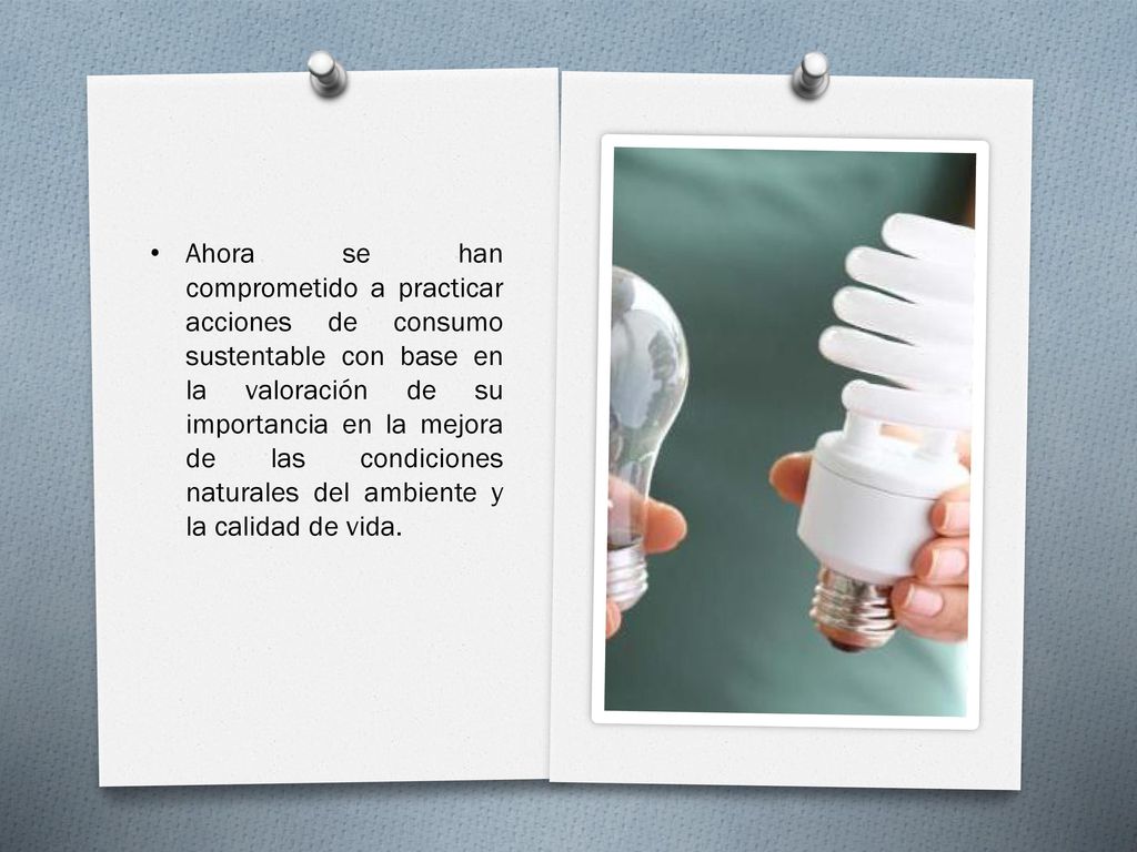 Ahora se han comprometido a practicar acciones de consumo sustentable con base en la valoración de su importancia en la mejora de las condiciones naturales del ambiente y la calidad de vida.