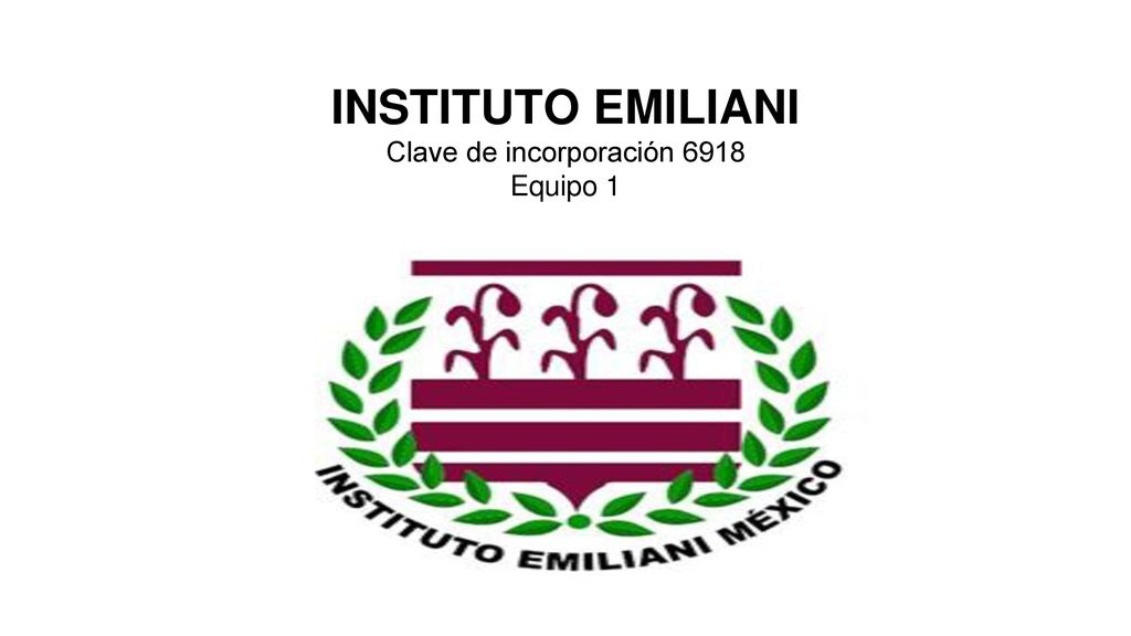 INSTITUTO EMILIANI Clave de incorporación 6918 Equipo 1